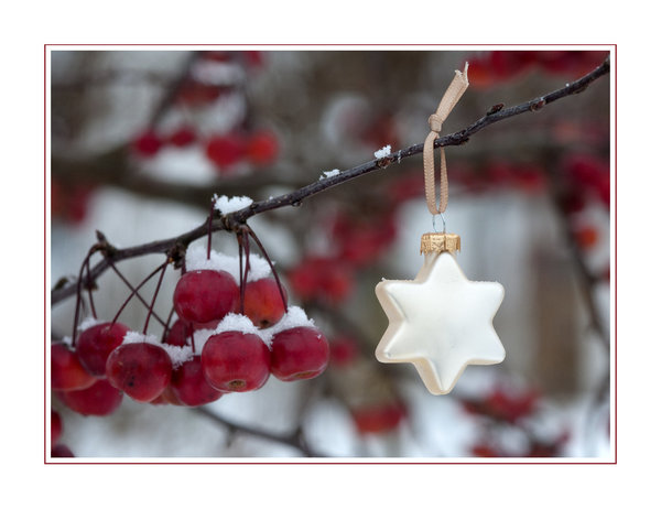 Weihnachtskarte mit Spruch - weißer Stern