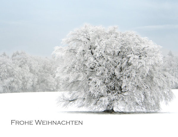 Weihnachtskarte mit Spruch - schneebedeckter Baum