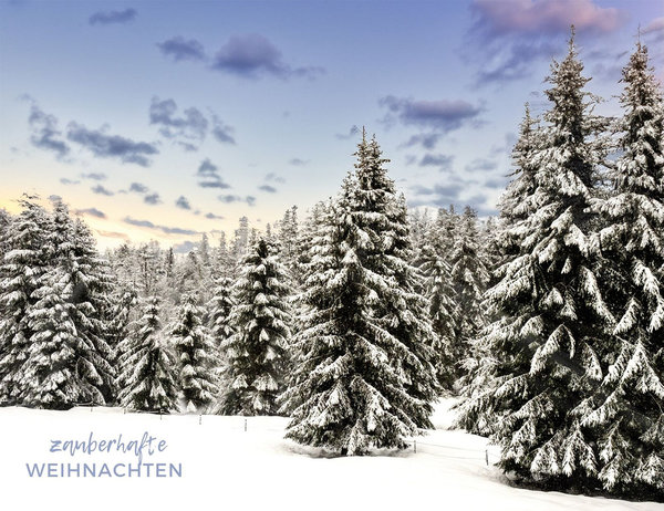 Weihnachtskarte mit Spruch - Winterwald
